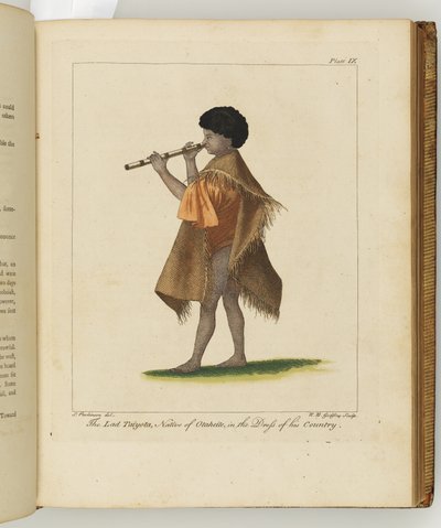 Illustrazione da Un diario di un viaggio nei mari del sud: sulla nave di Sua Maestà, l